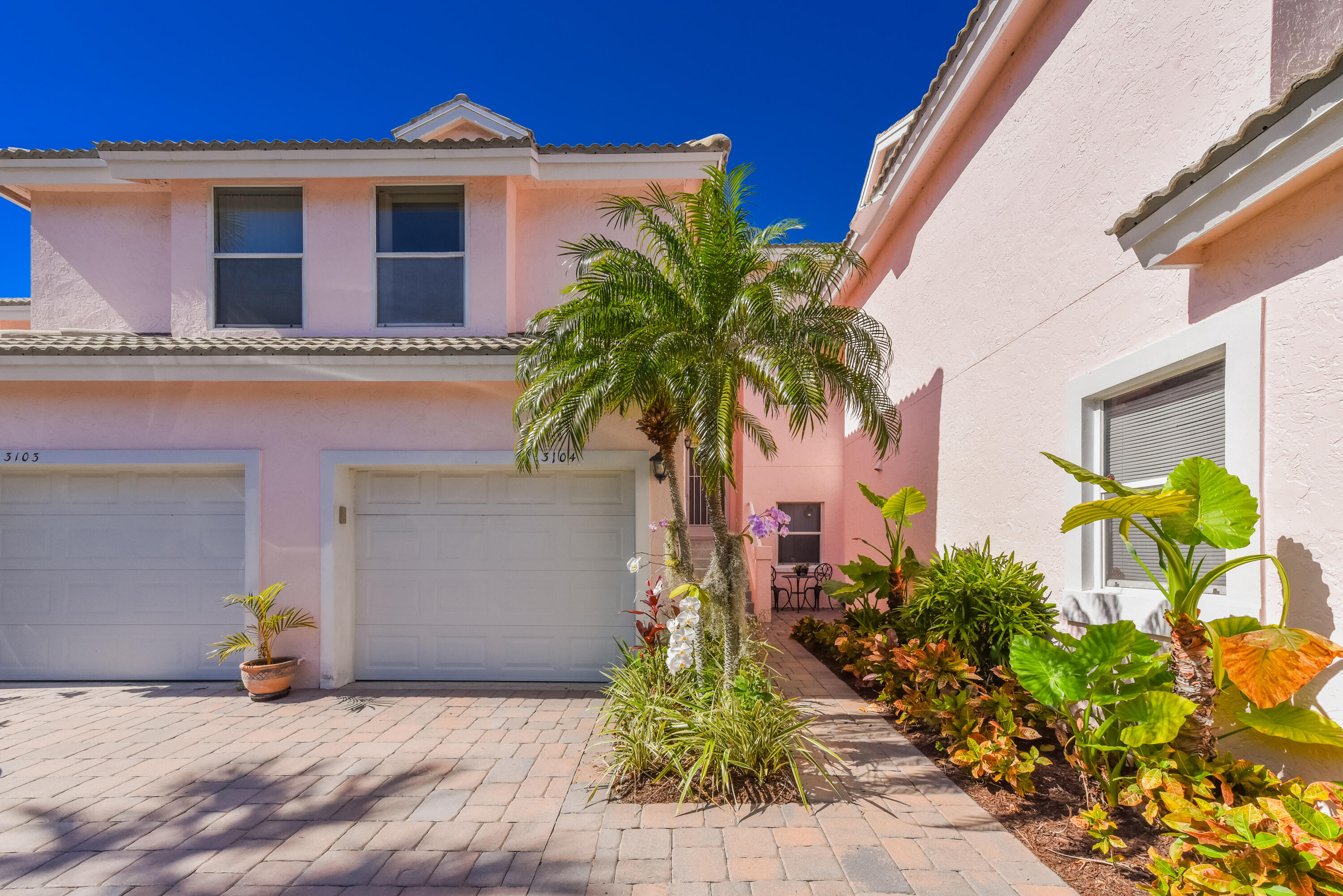 a potted plant sitting in front of a house