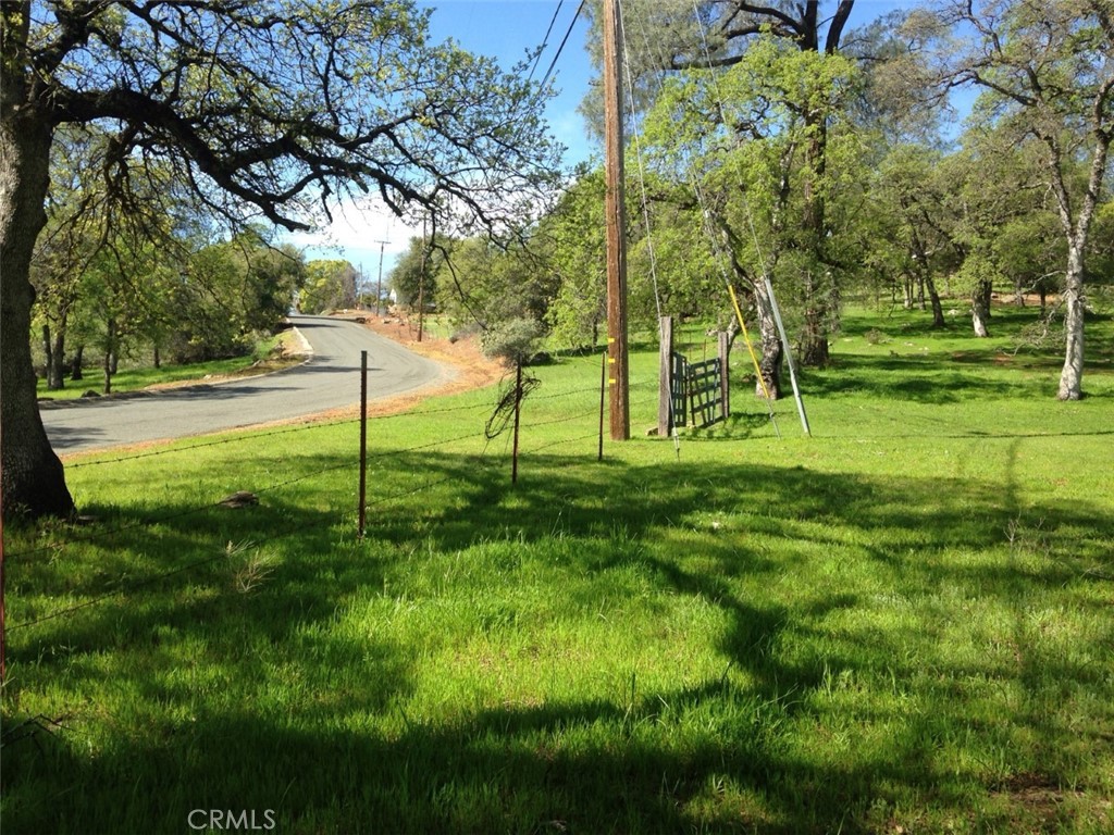 a view of yard with green space