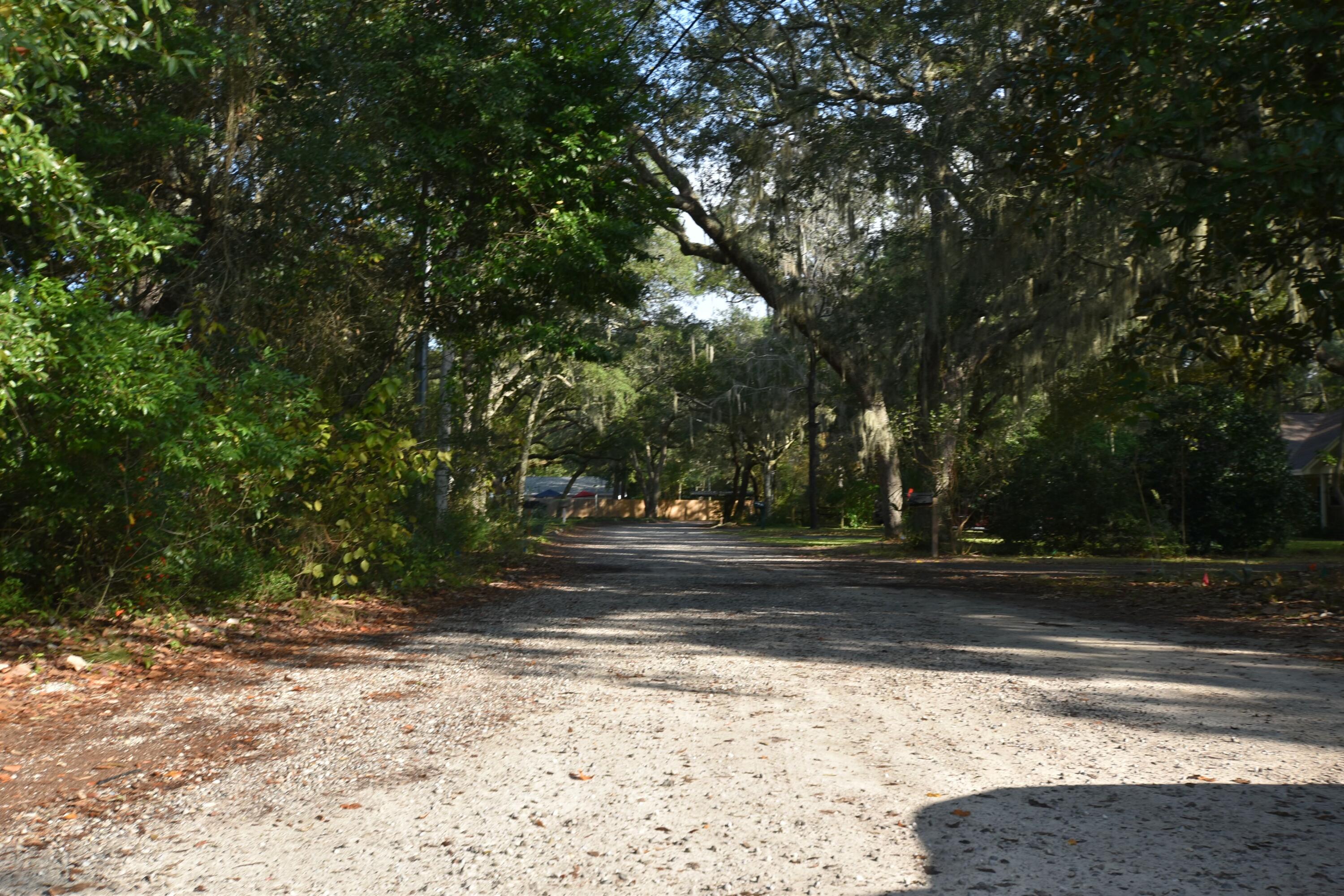 a view of dirt yard with a large tree