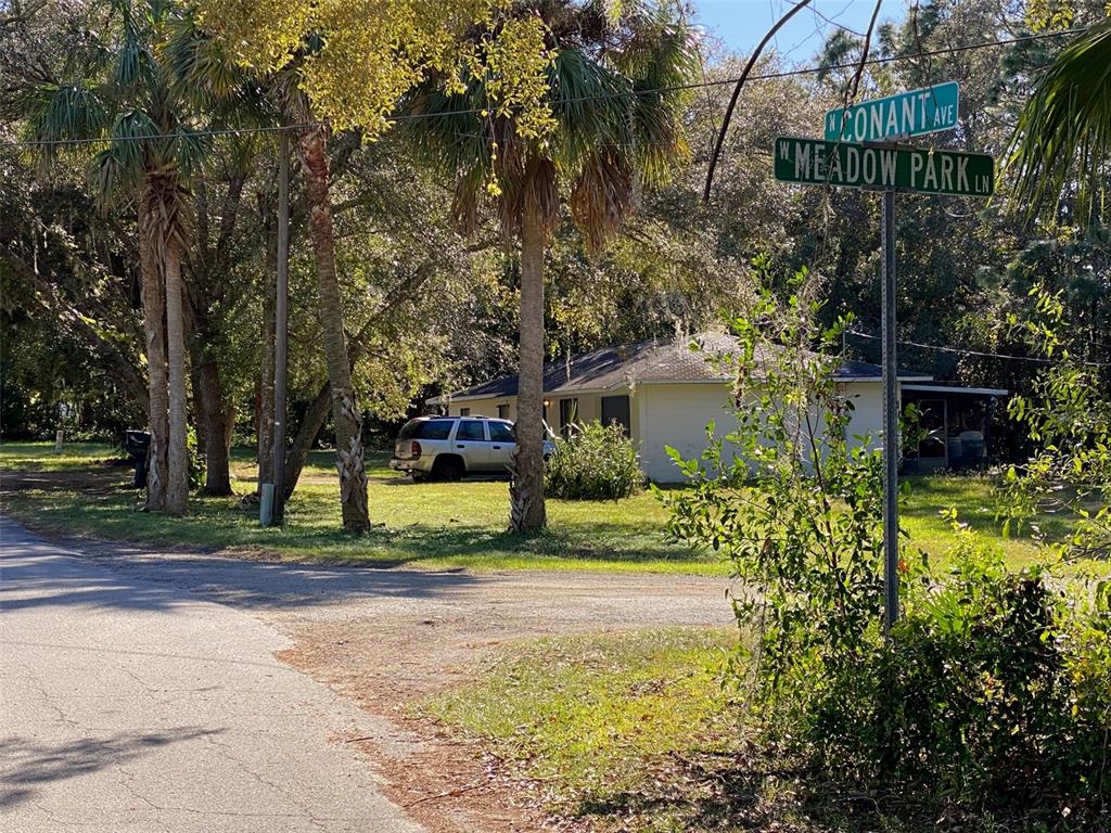 a view of a yard with plants and trees