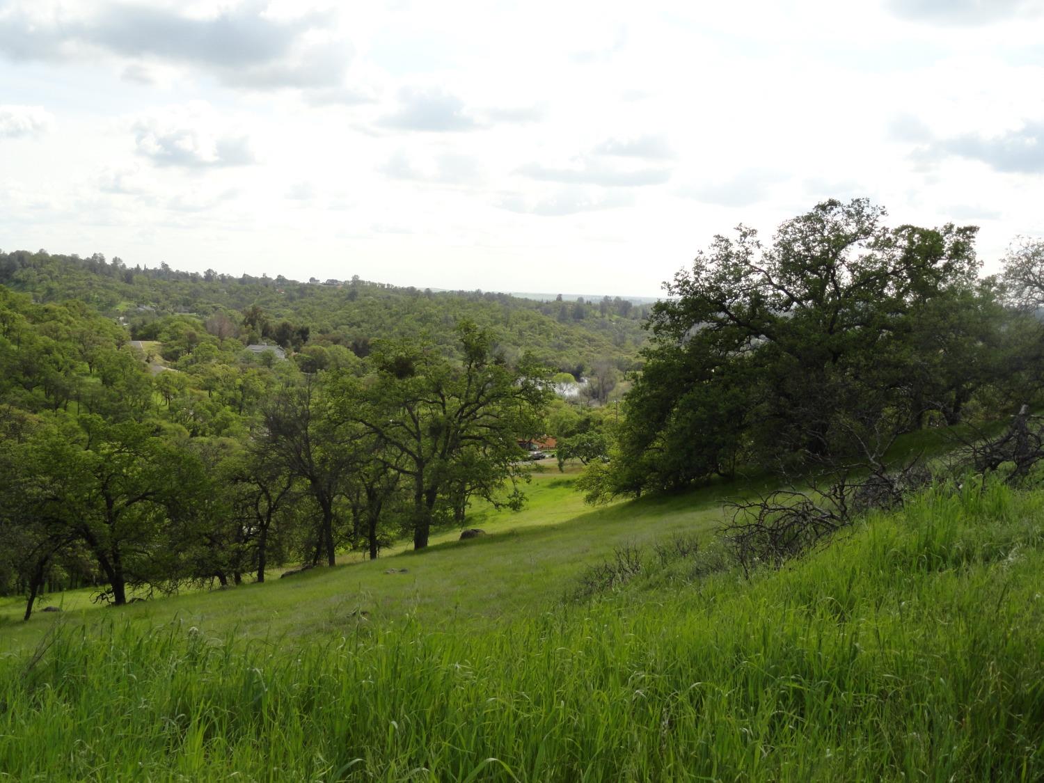 a view of a grassy field with trees