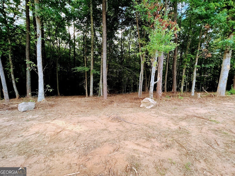 a view of outdoor space with deck and trees