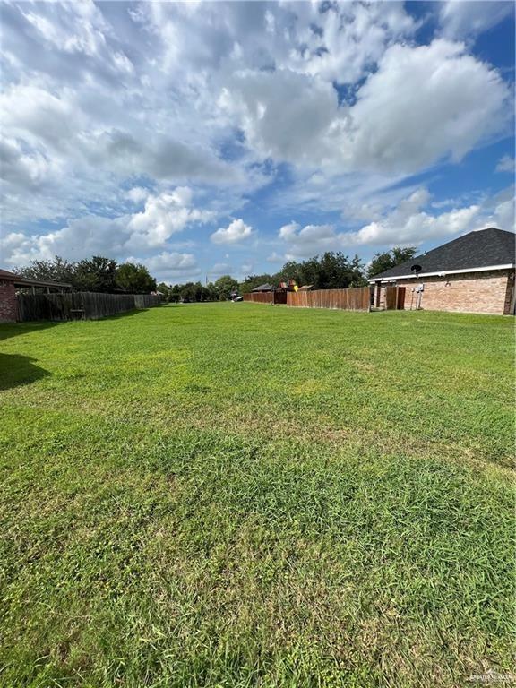 a view of a big yard with plants and a large tree