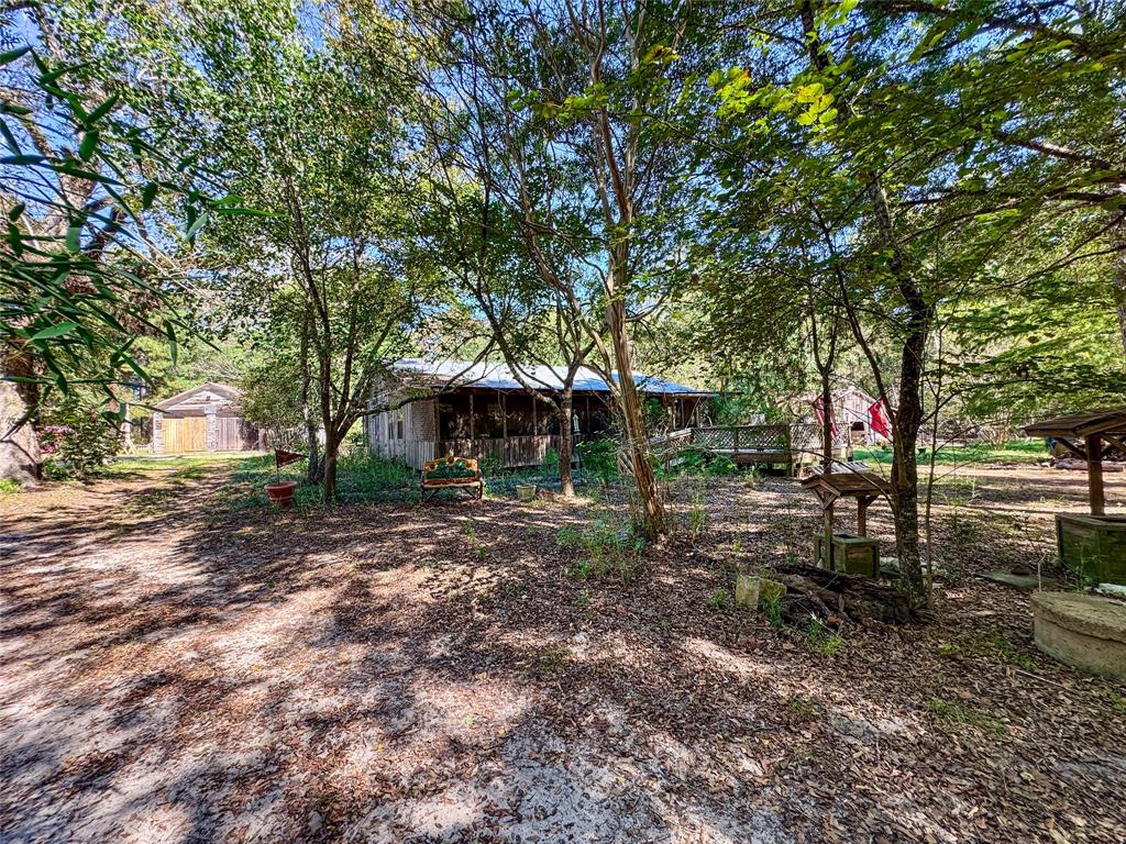 a view of a yard with a tree