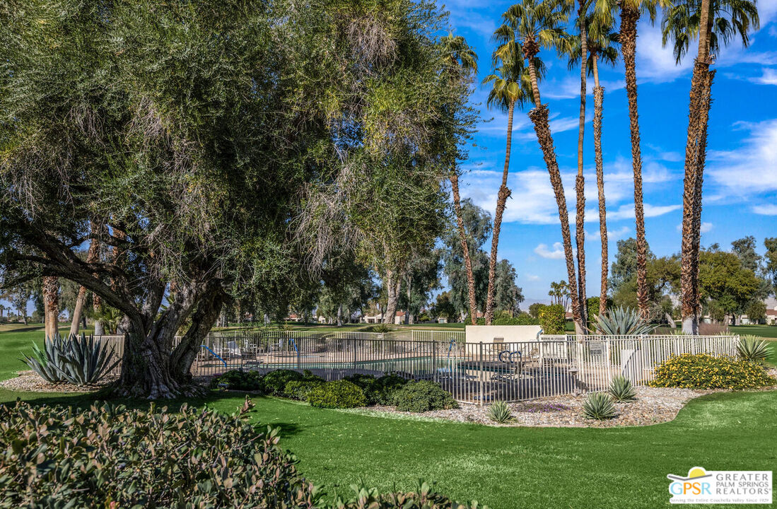 a garden view with a fountain