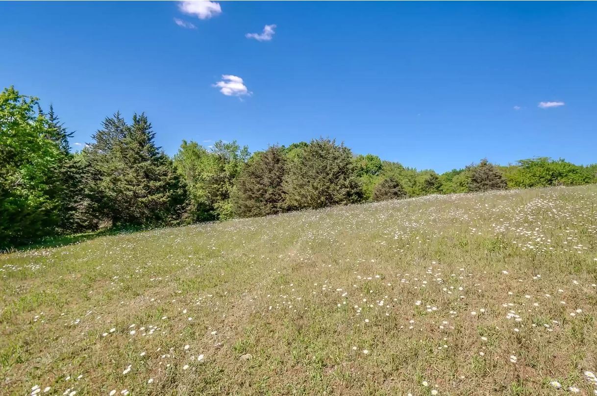 a view of a field with an ocean