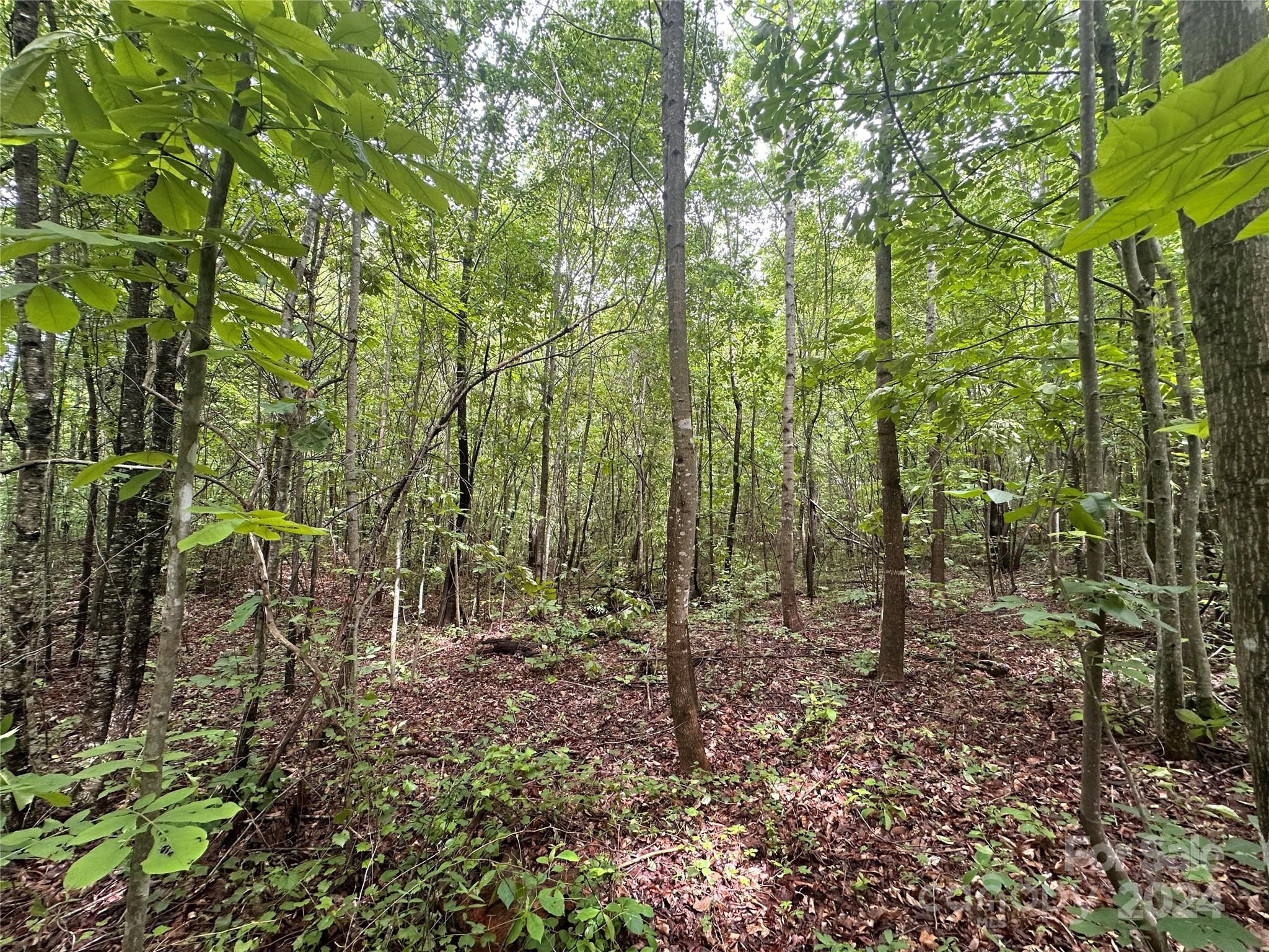 a view of outdoor space and trees