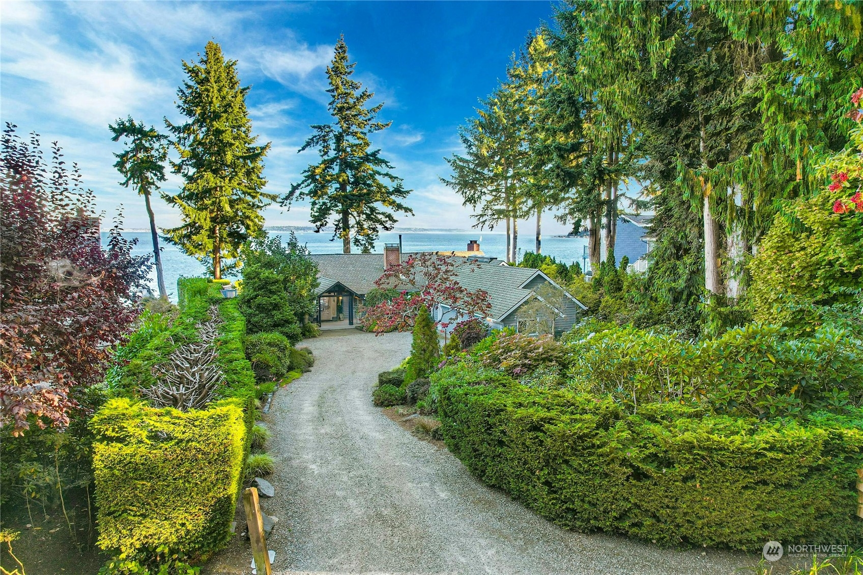 a view of a garden with plants