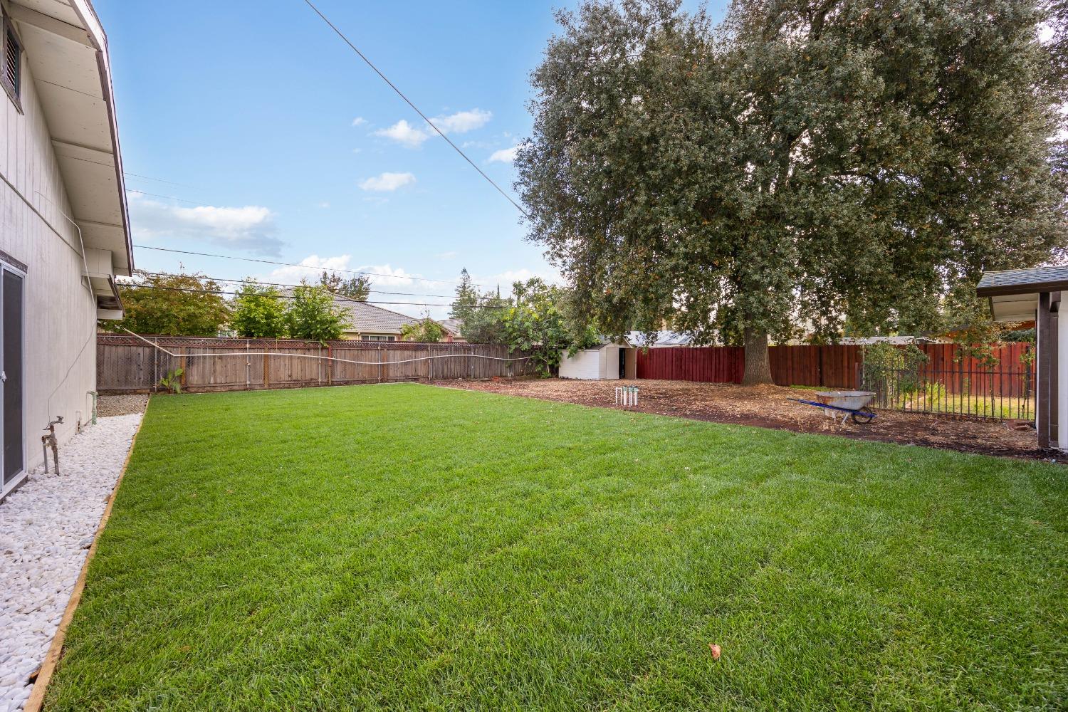 a view of yard with green space