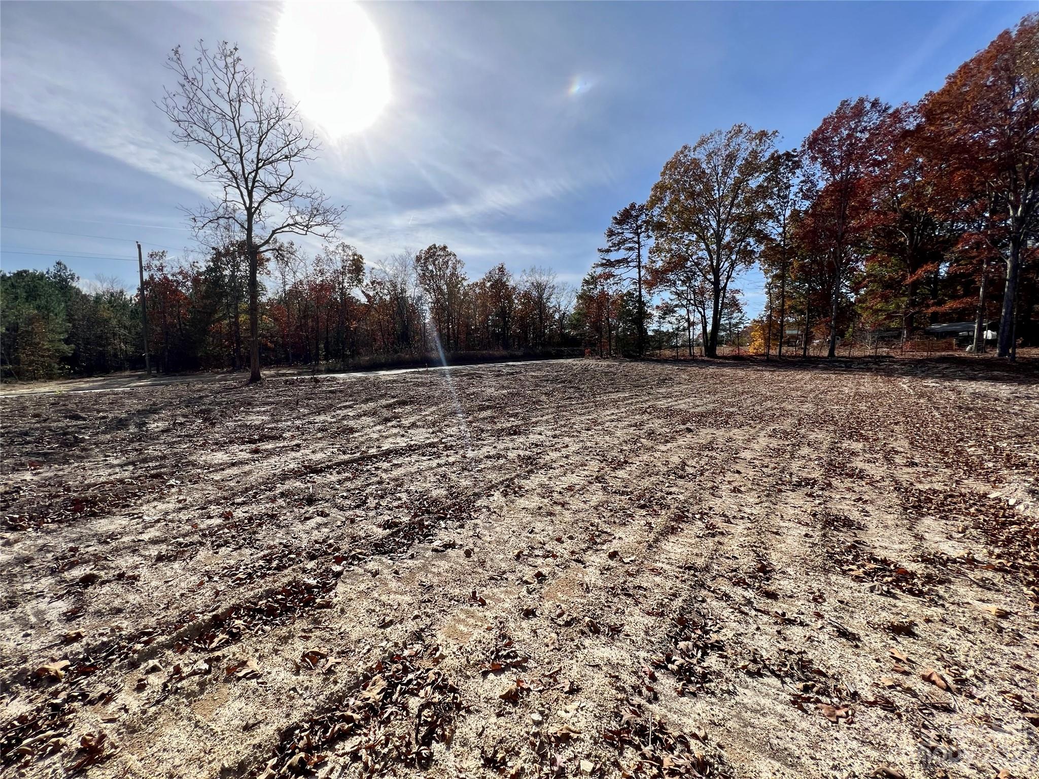 a view of a field with trees