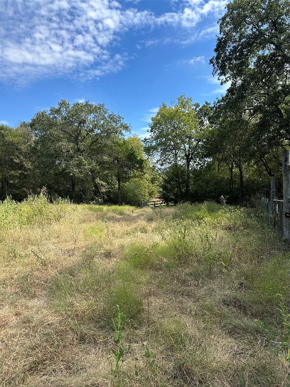 a view of a yard with a tree