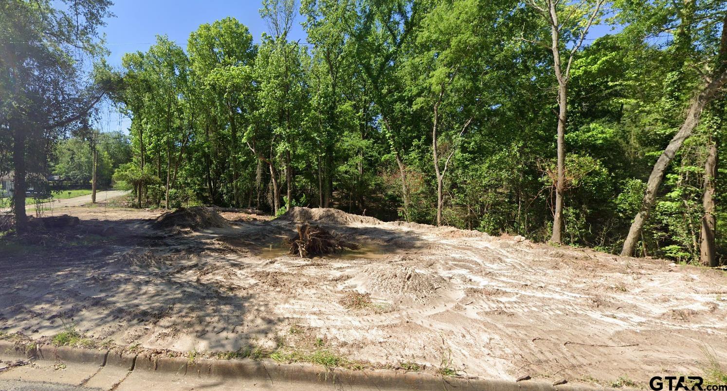 a view of a backyard with large trees