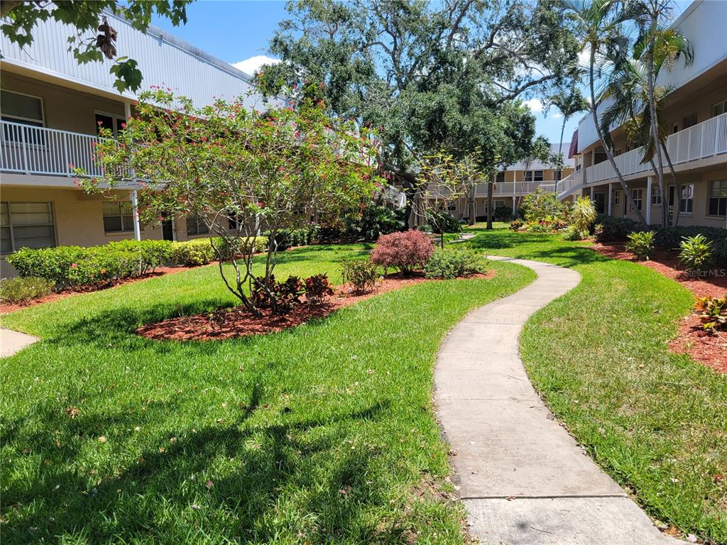 a view of a park with plants and trees