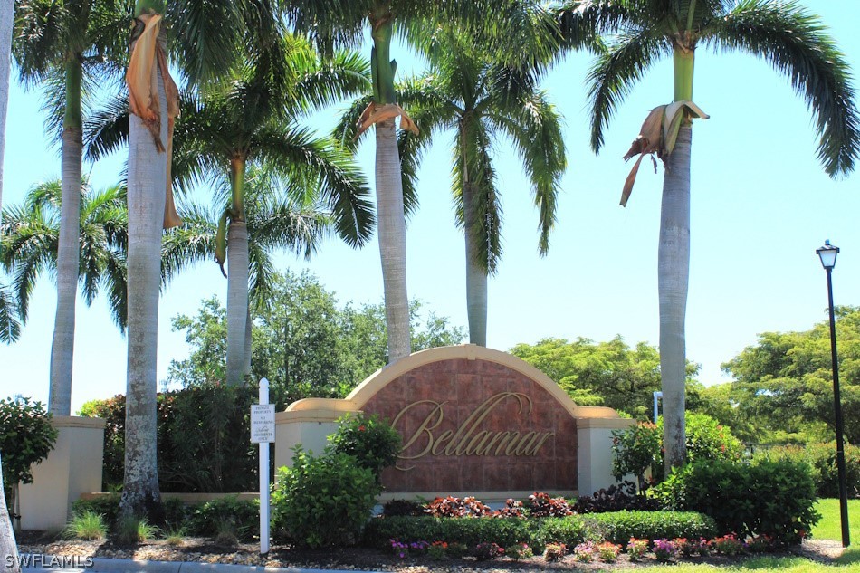 a view of a yard with a palm trees