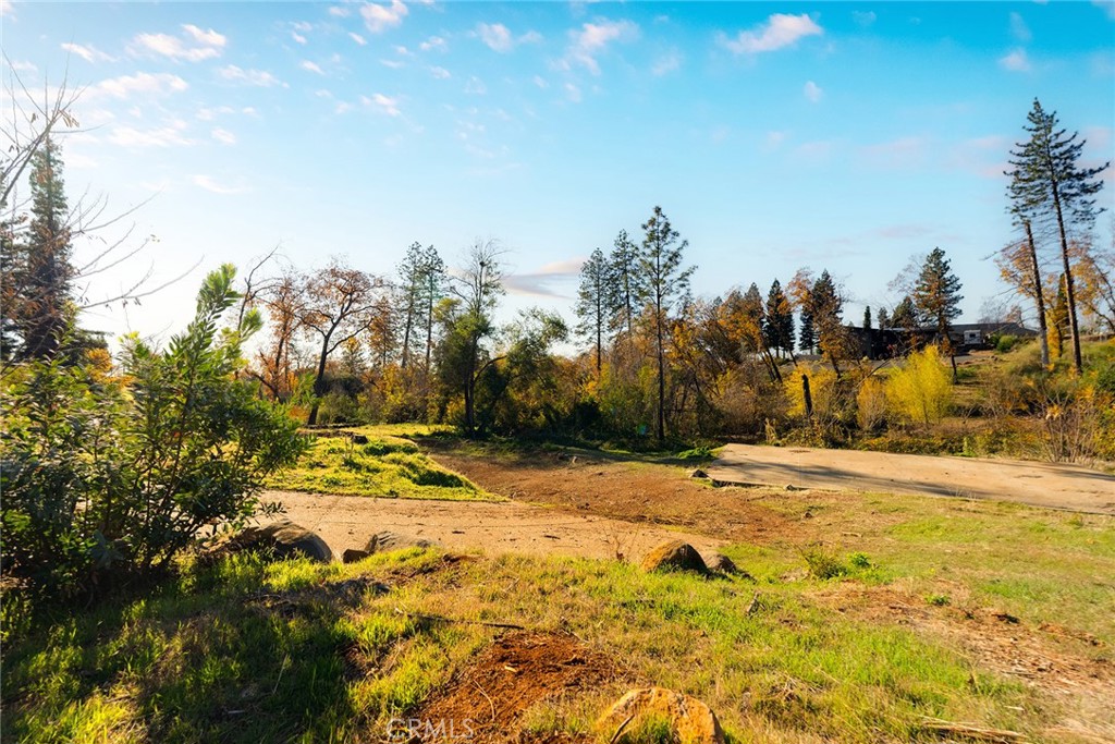 a view of a yard with trees