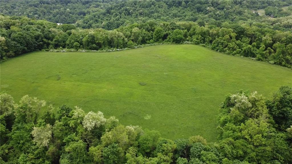 a view of a field with a trees in the background