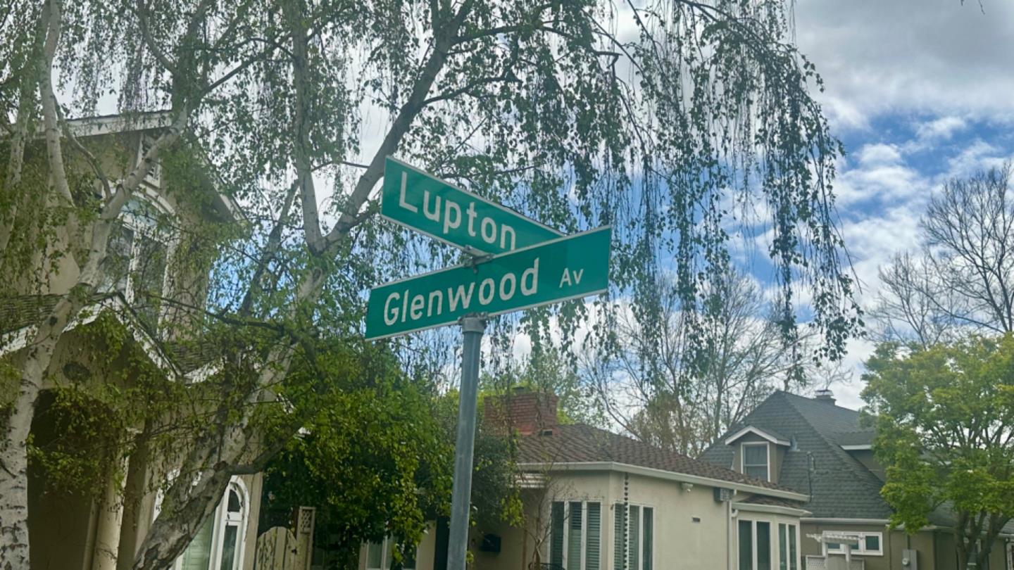 a view of a street sign under a large tree