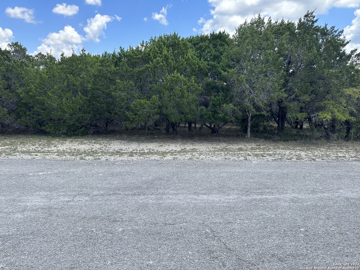 a view of a field with trees in the background