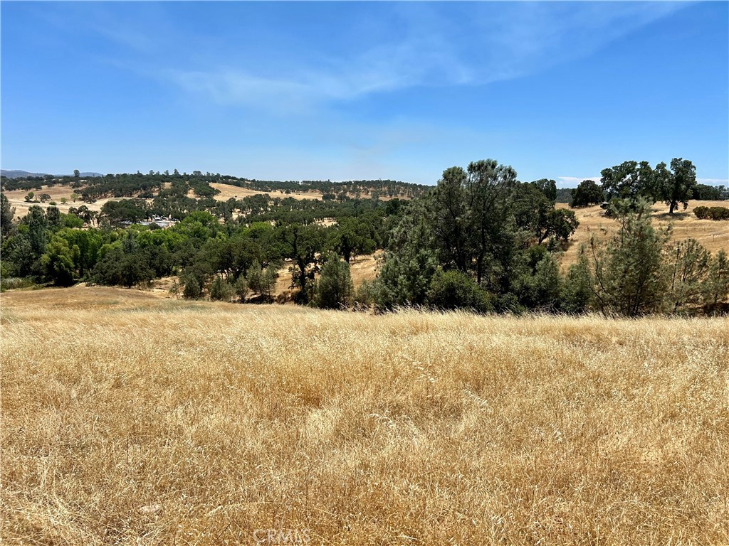 a view of outdoor space and city view