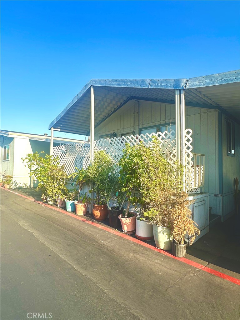 a couple of potted plants in front of door