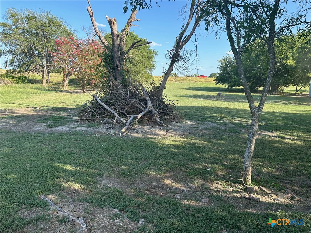 a view of a yard with a tree