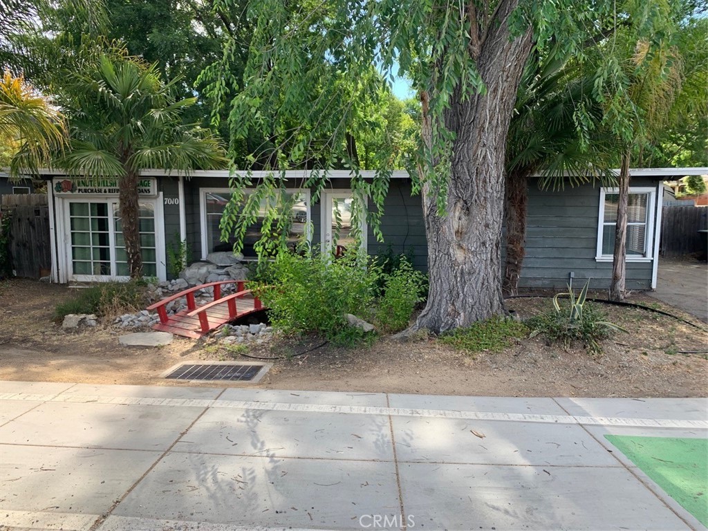 a view of backyard with plants and large trees