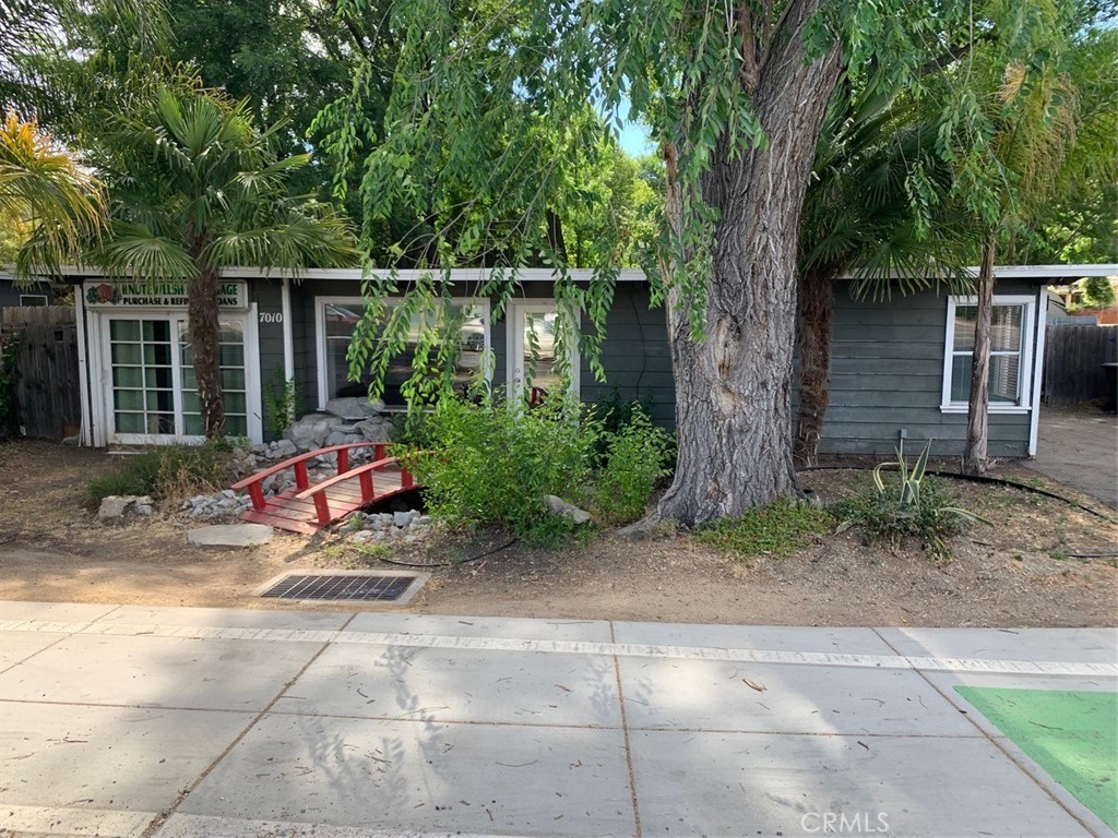 a view of backyard with plants and large trees