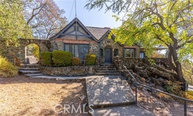 a front view of house with a garden