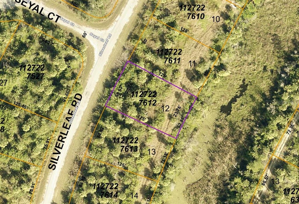 County map of lot