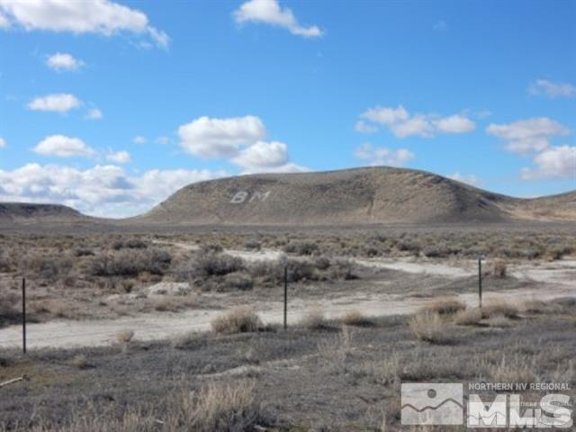 a view of a dry yard