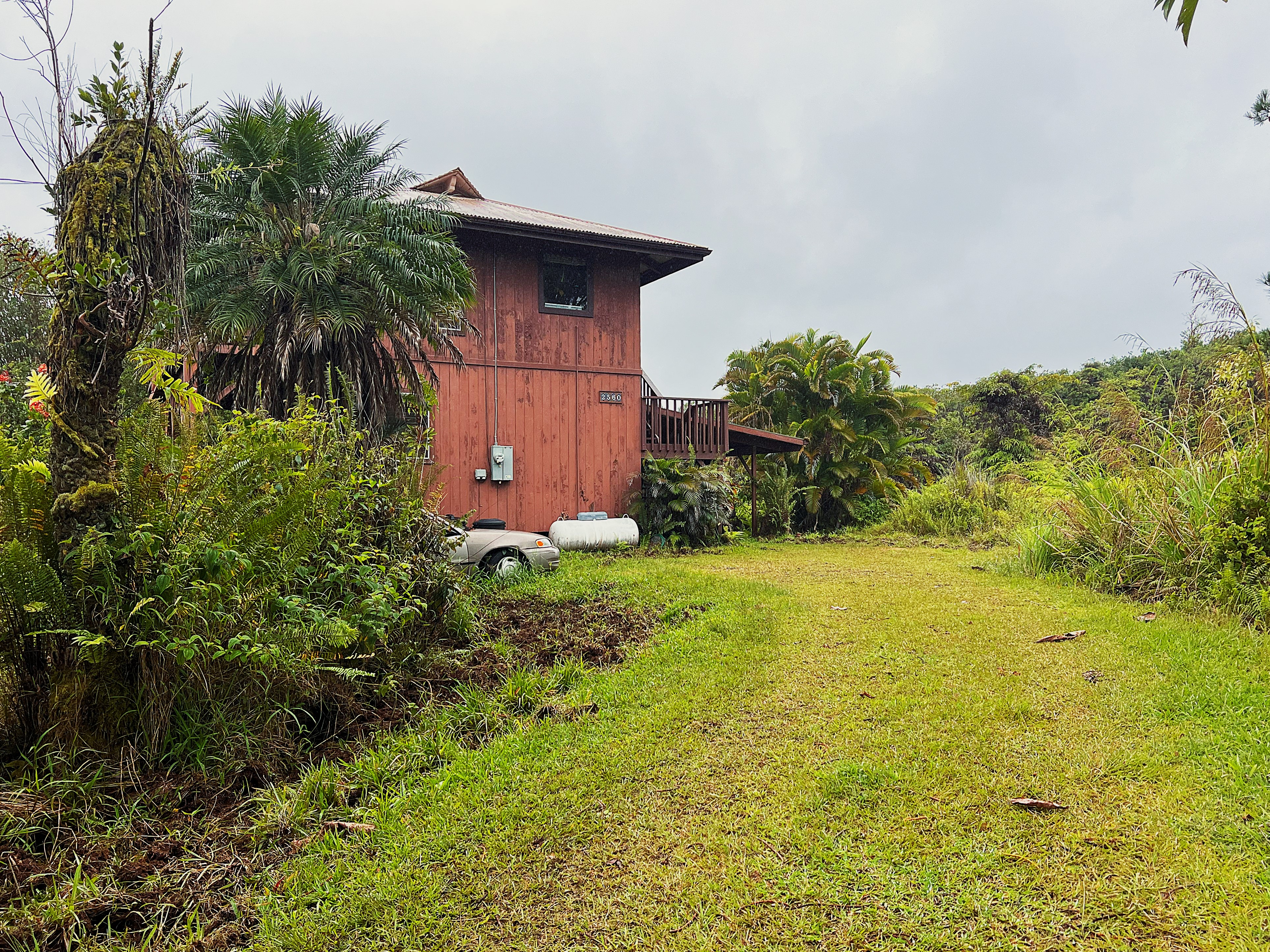 a view of a garden with plants