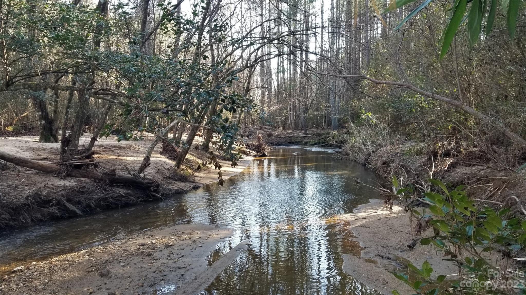 a view of water with a tree