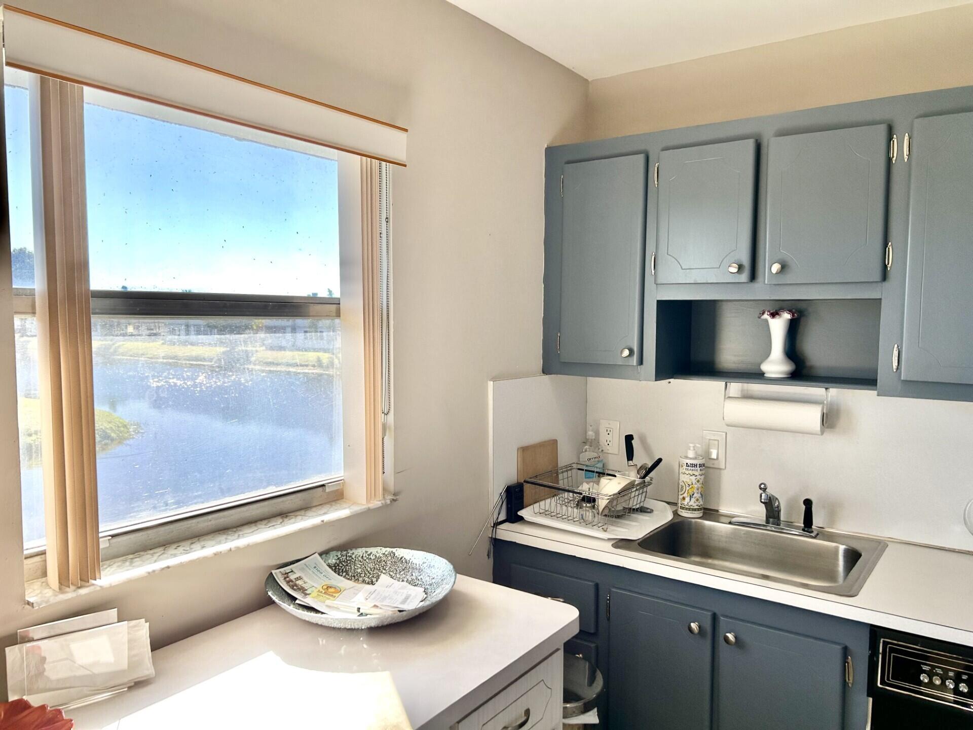 a kitchen with a sink a window and cabinets