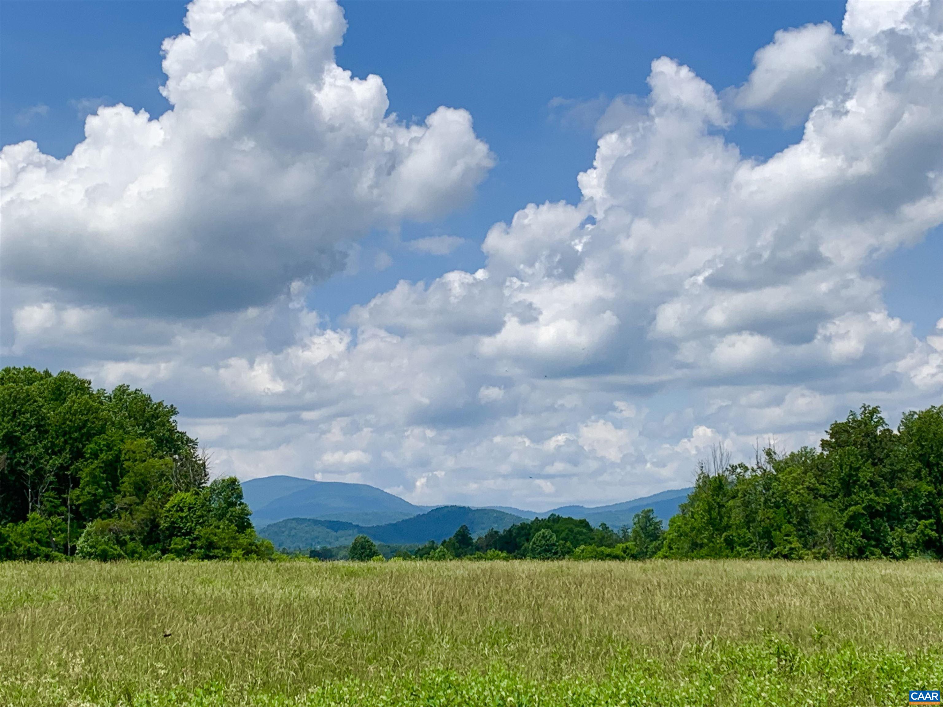 a view of a bunch of trees in background