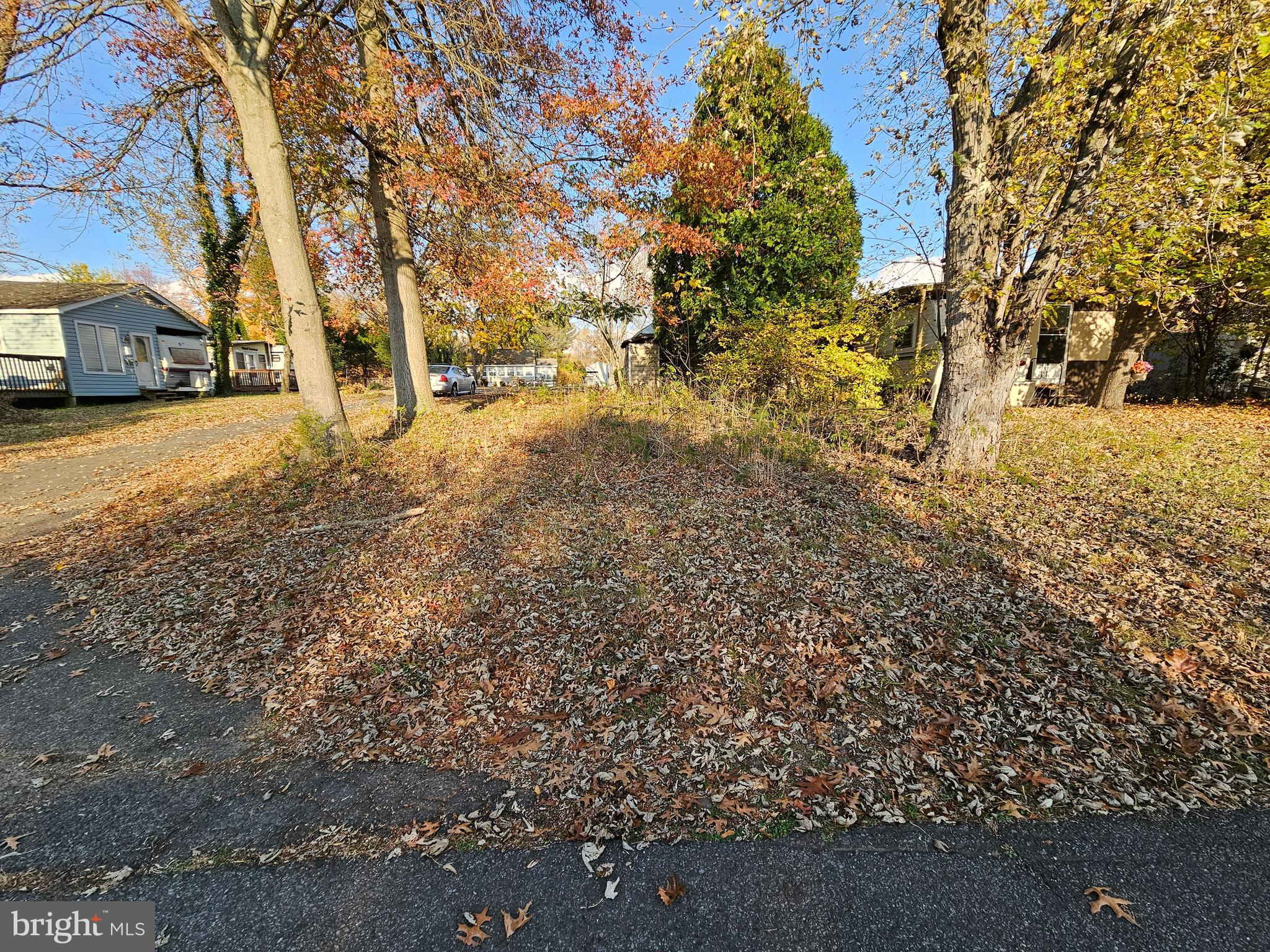 a view of road with trees