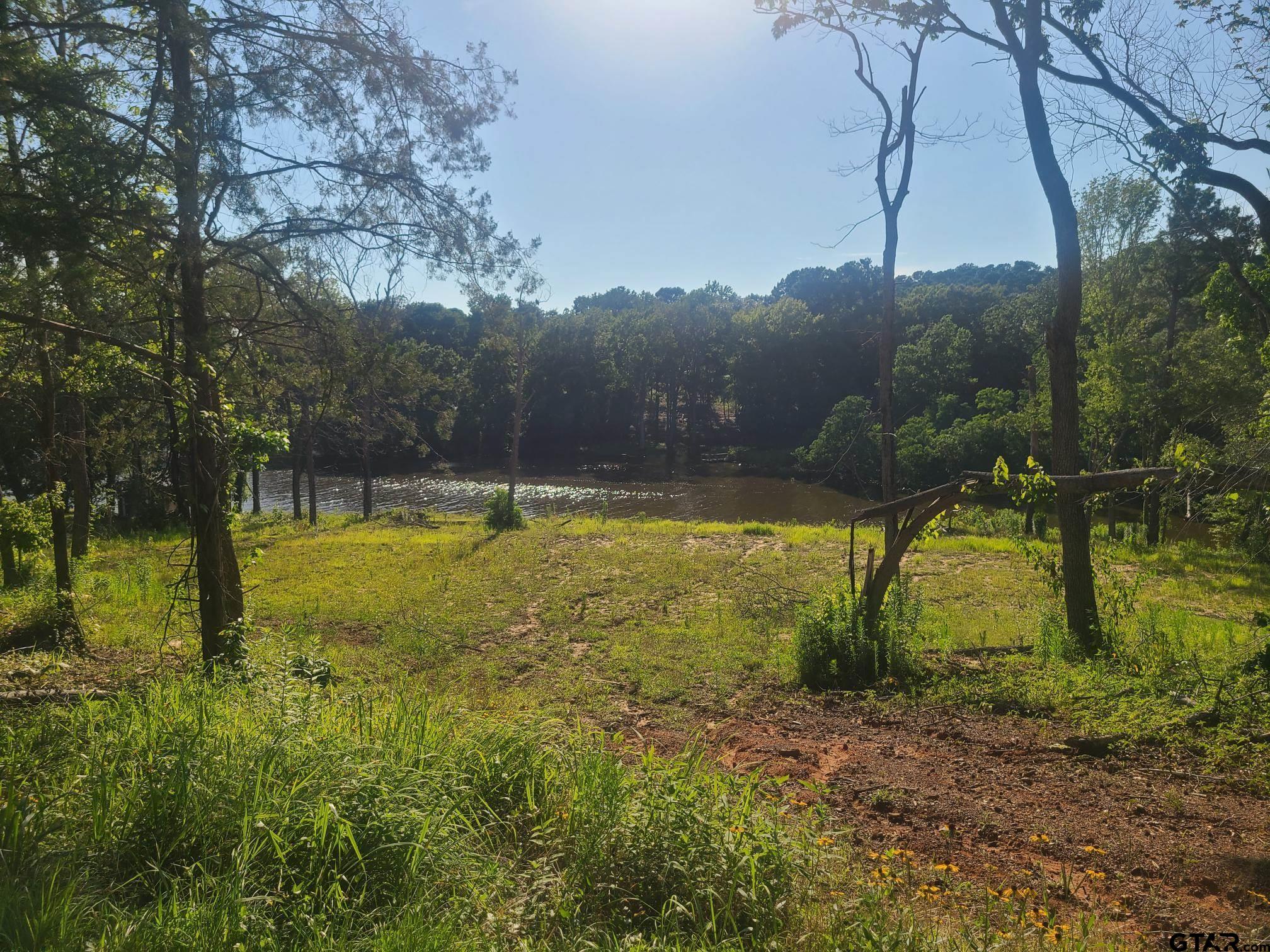 a view of a yard with a tree