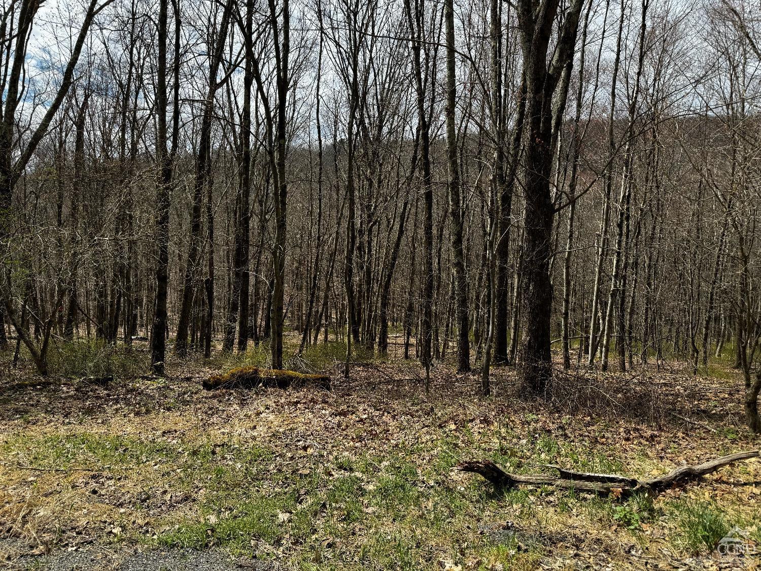 a view of wooden fence