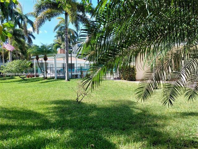 a view of a park with a tree