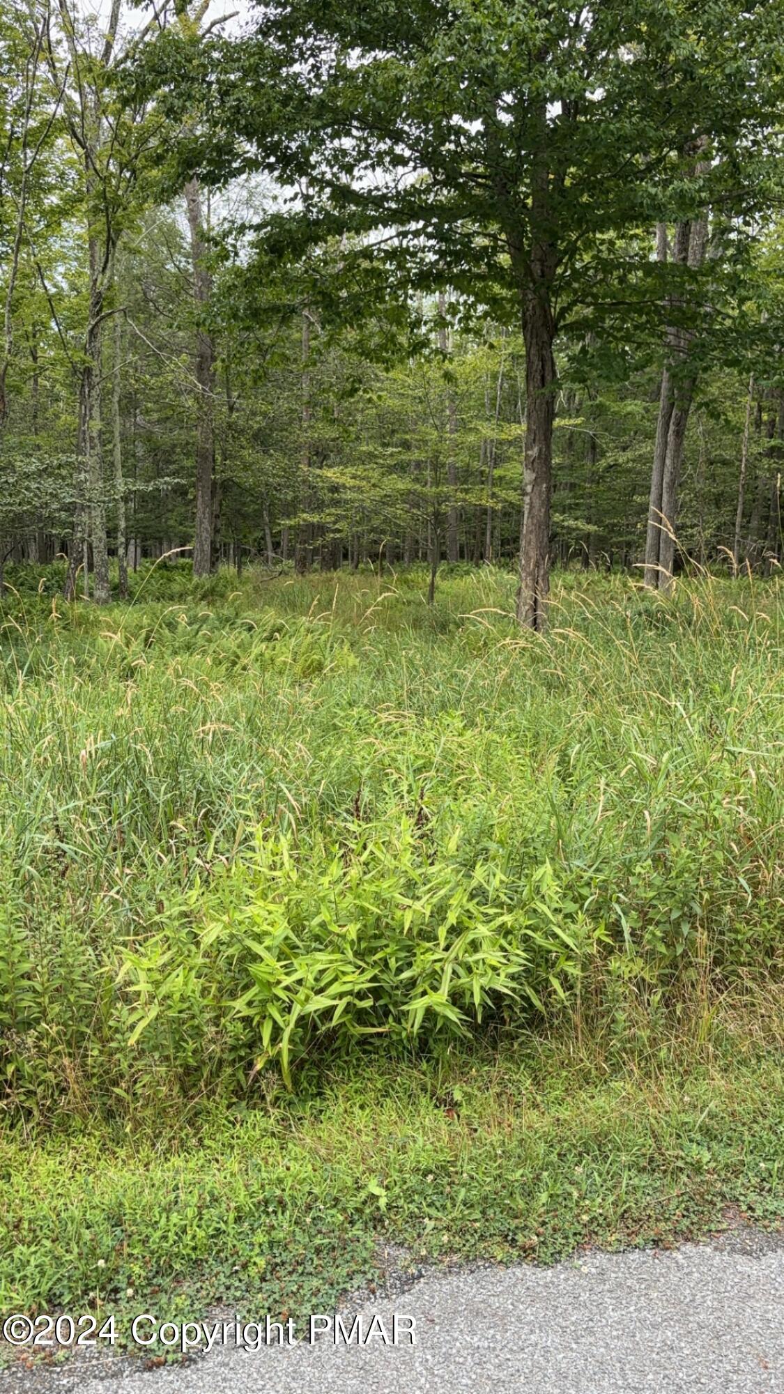 a view of outdoor space and yard