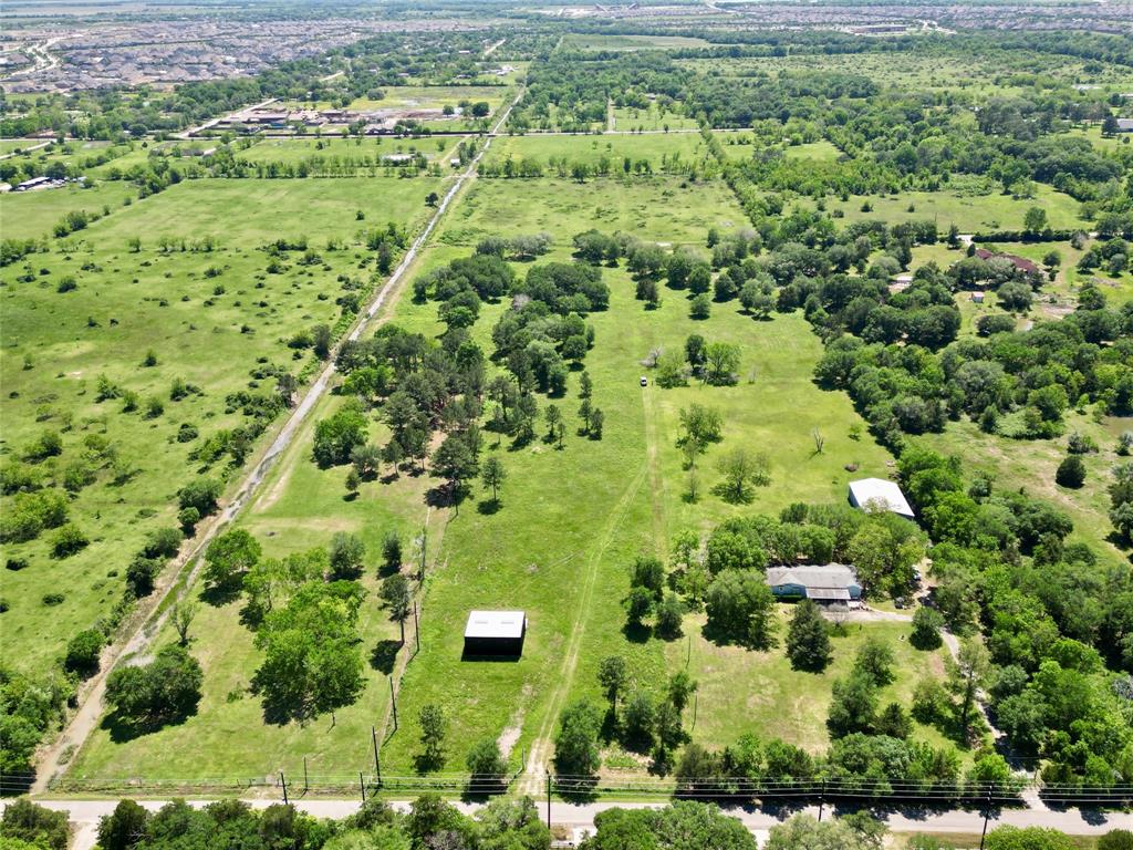 a view of a lush green field with lots of plants