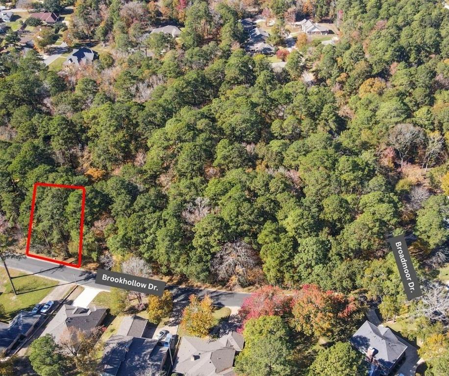 an aerial view of residential house with green space