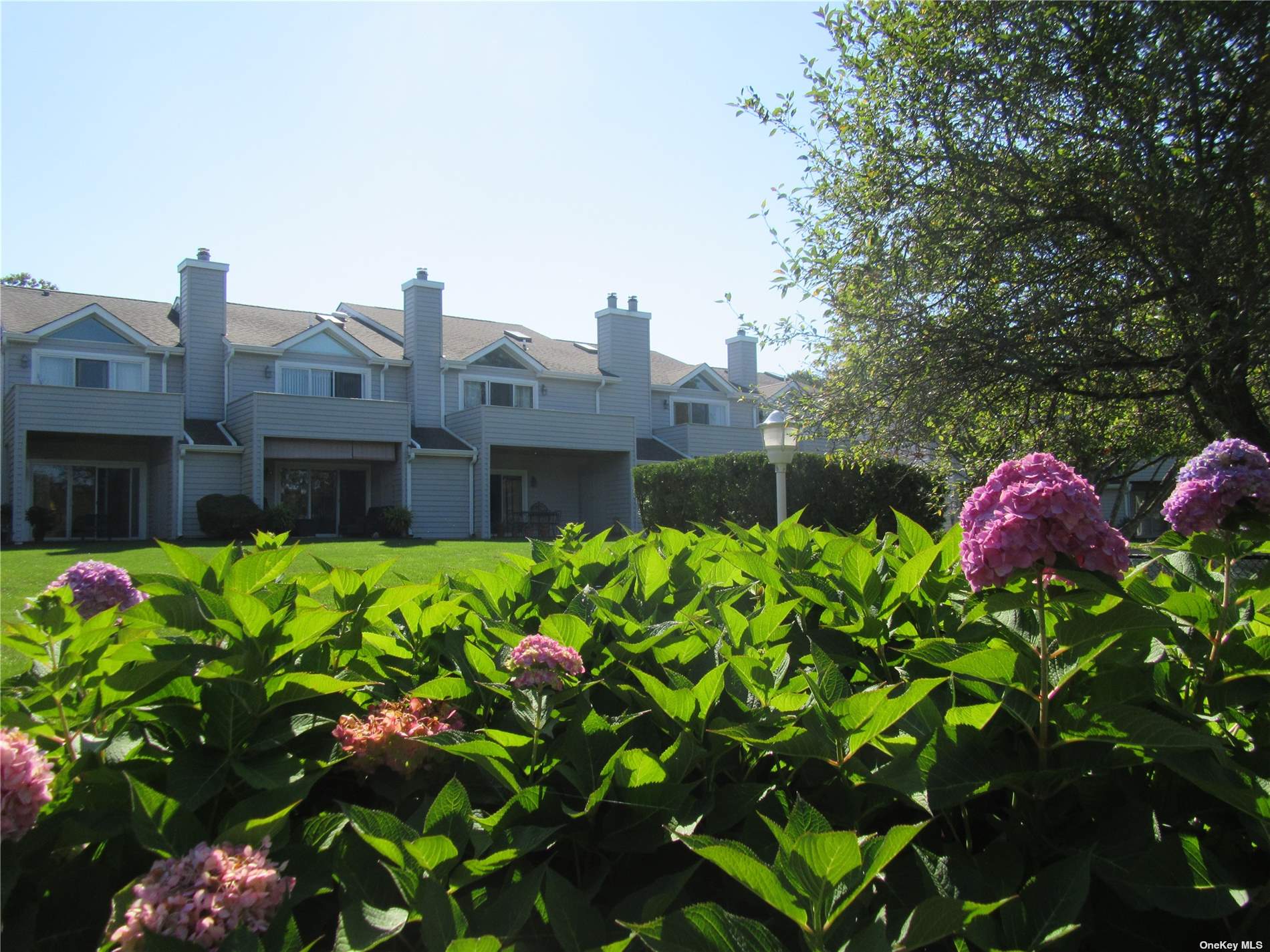 a front view of a house with a yard and fountain