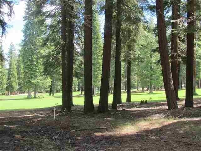 a view of a field with trees in the background