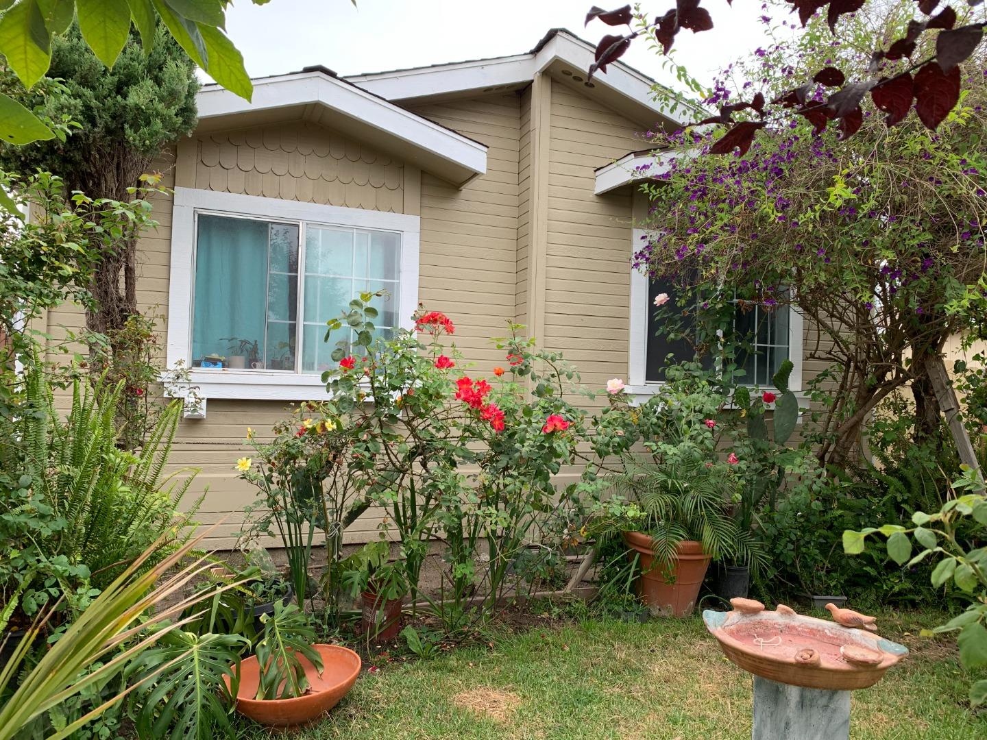 a view of a backyard with chair and potted plants