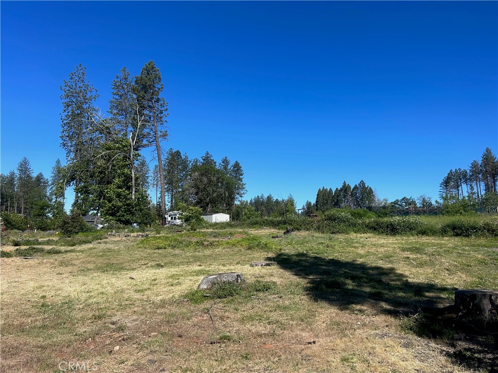 a view of a field with an trees