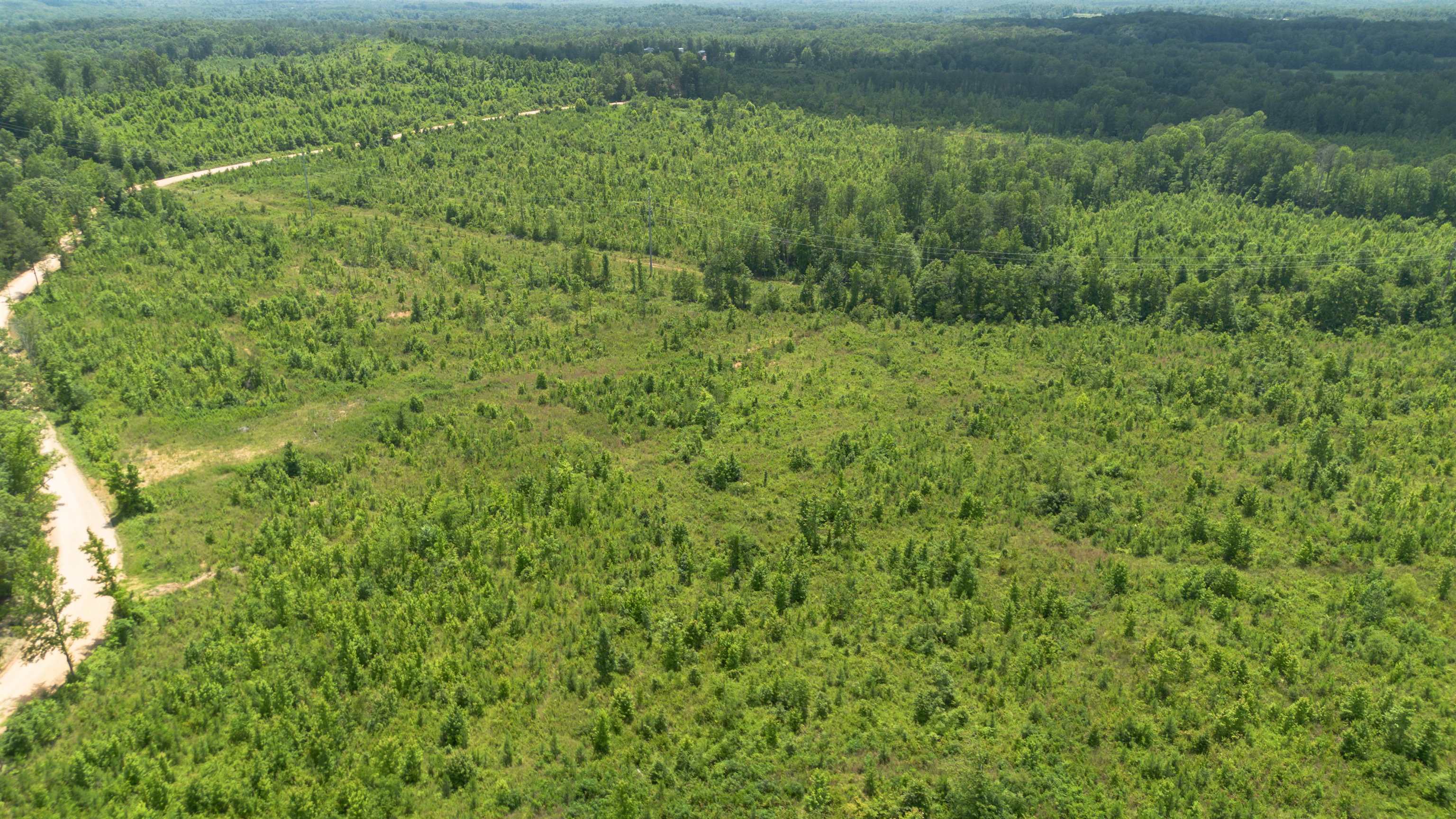 a view of a field of grass and trees