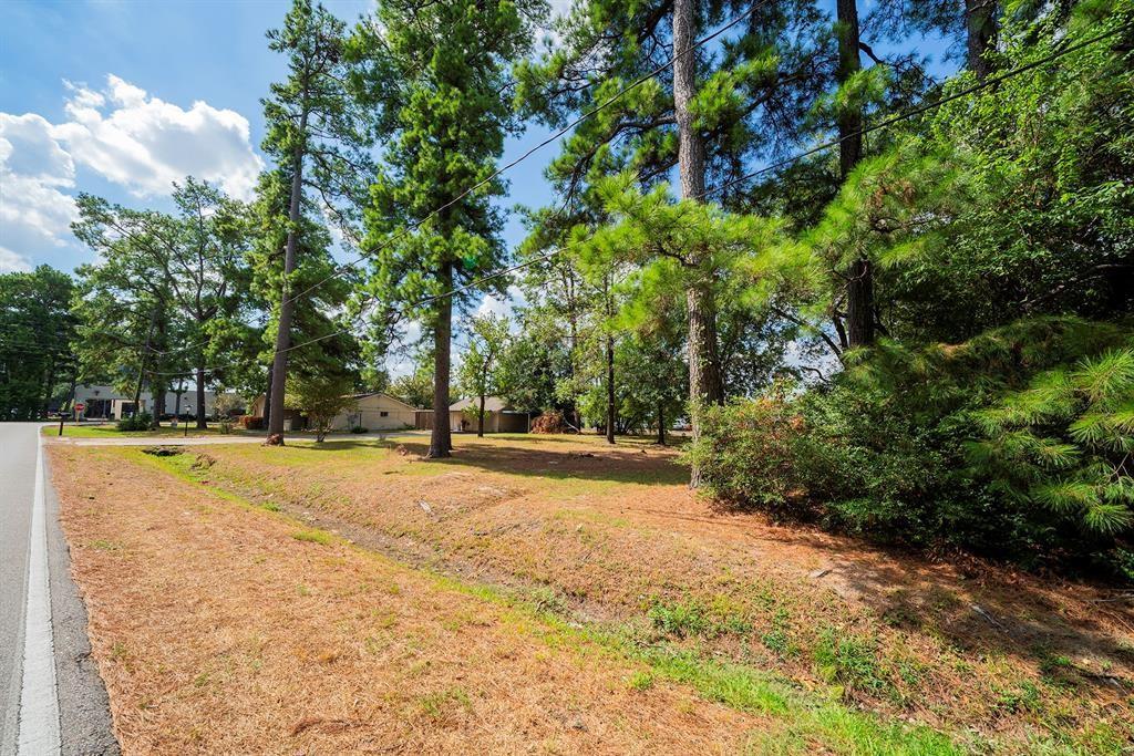 a view of a yard with trees