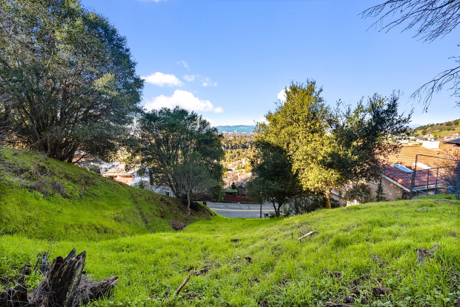 a view of outdoor space garden and trees