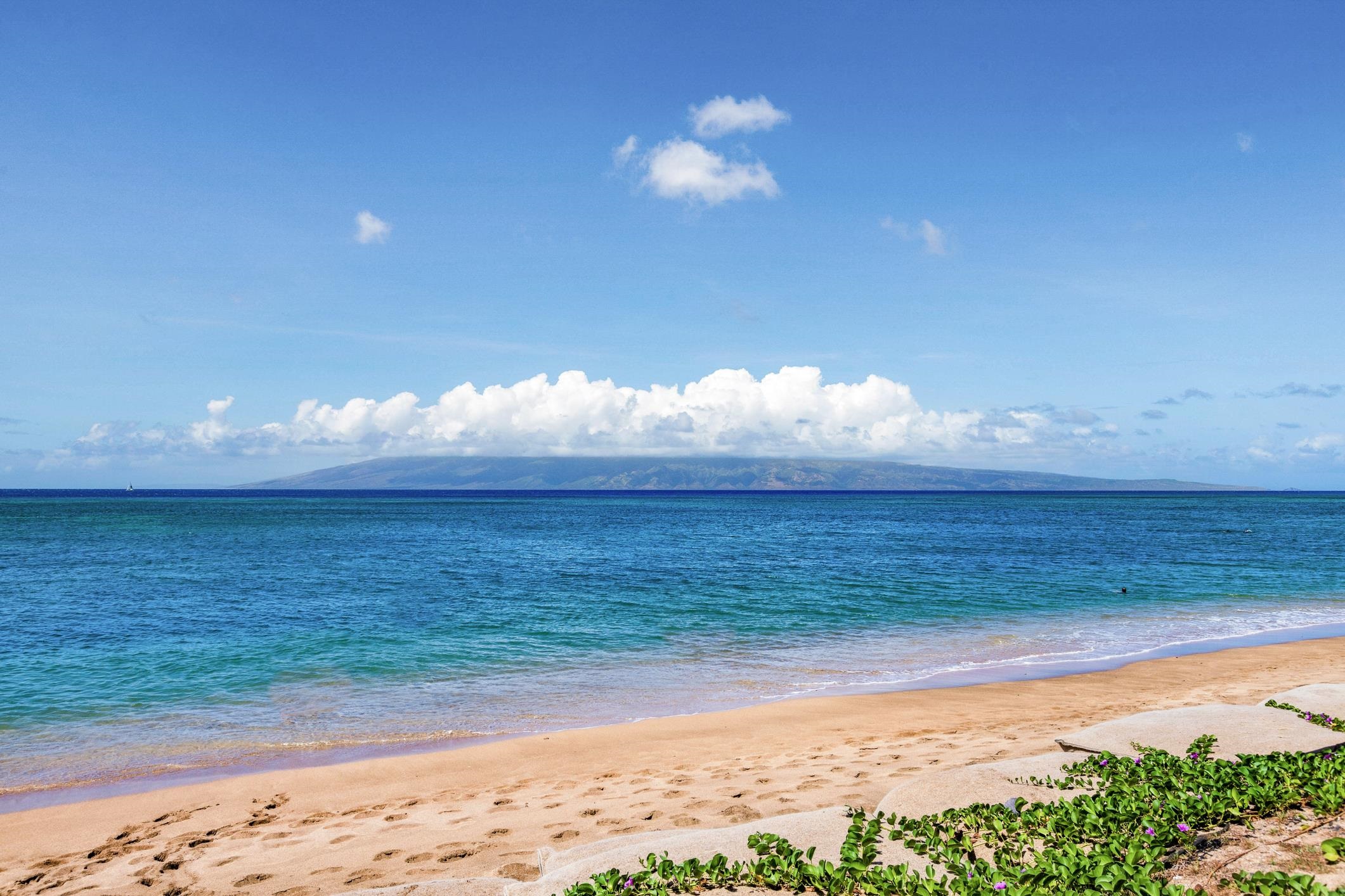 a view of an ocean and beach