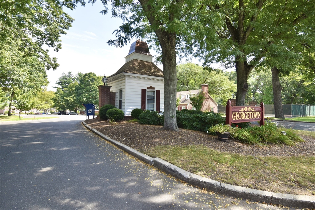 a front view of a house with a yard and large trees